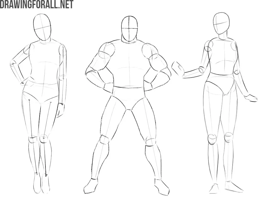 form in drawing