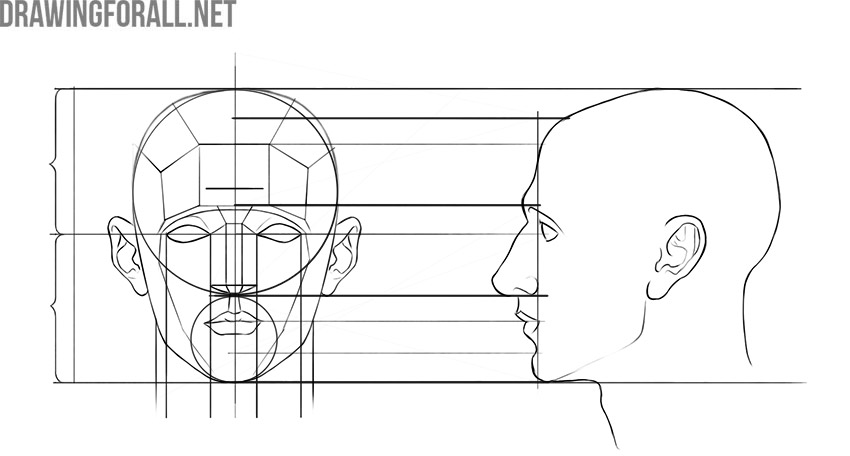 Human head proportions shown from front and side views with measurement guides.