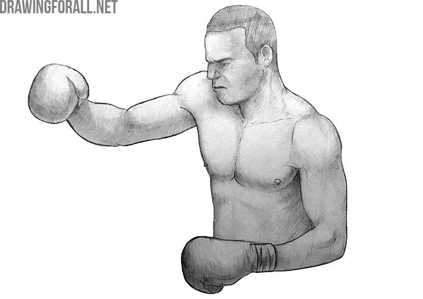 Boxer drawing showing light and shadow across the head, torso, arms, and gloves.