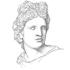 head proportions in drawing