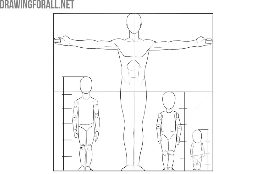 Human figure with outstretched arms showing the relationship between height and arm span.