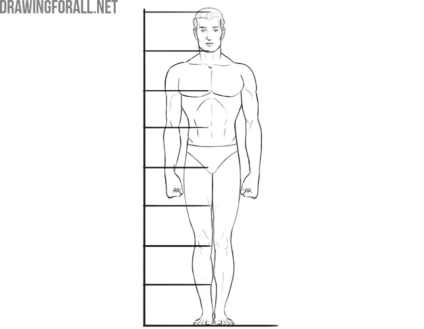 Human figure divided into head-height units to show body proportions.