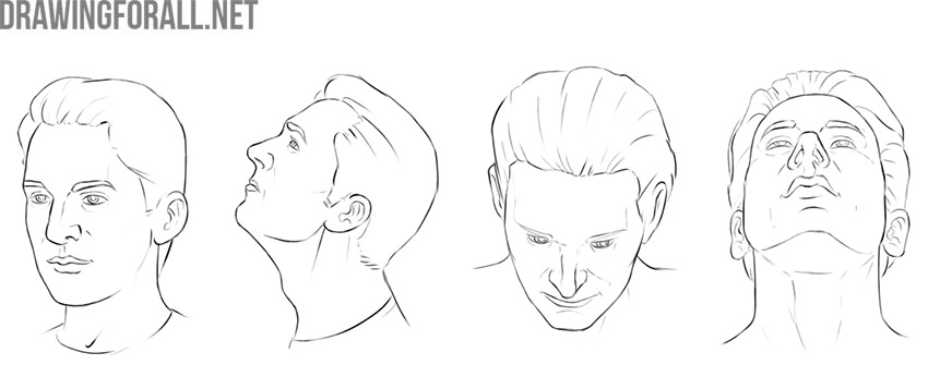 Human head shown level and tilted upward and downward from different angles.