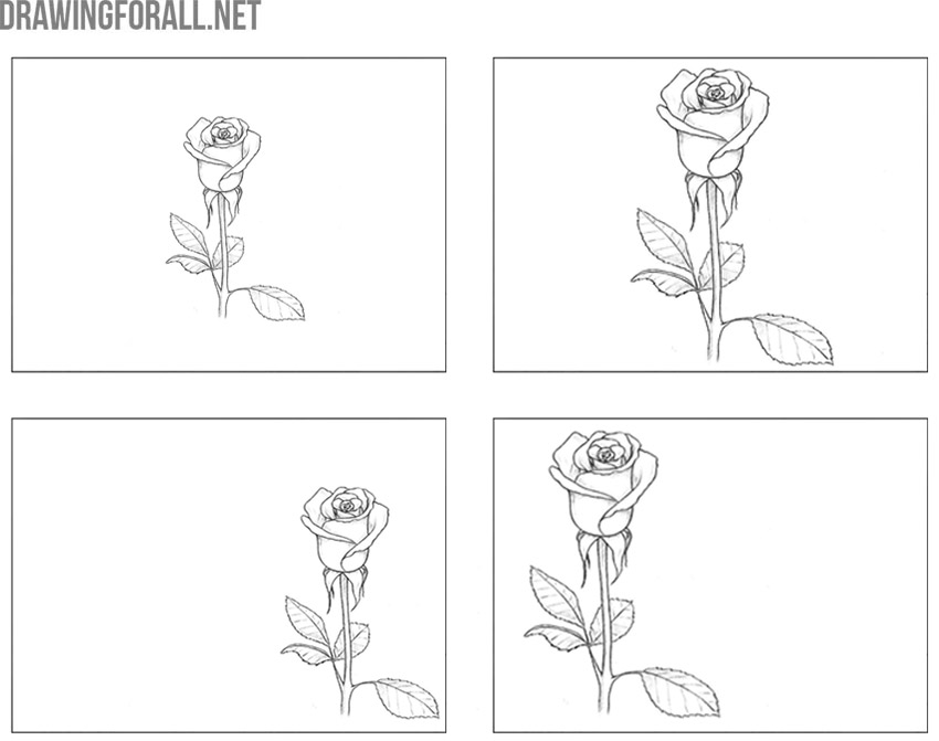 Examples showing different ways to place a subject within the drawing area.