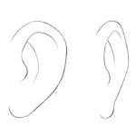 How to Draw Anime Ears