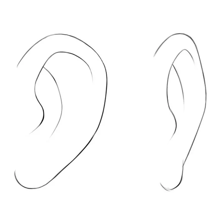 Featured image of post How To Draw Ears From The Front Easy When you learned how to draw an ear in the last lesson it was purely from a side view and that is the easiest way to both draw and understand the ear but the your drawing of the ear is going to need to fit within this narrow box to have a convincing effect when you draw the ear from the front view