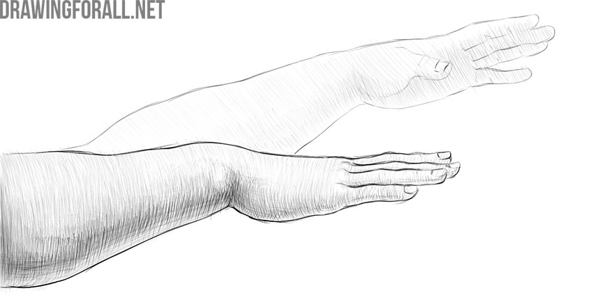 Pencil drawing of arms using hatching to create depth, form, light, and shadow.
