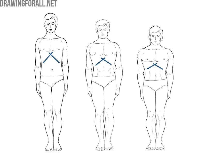 Three human figures showing different shapes of the infrasternal angle.