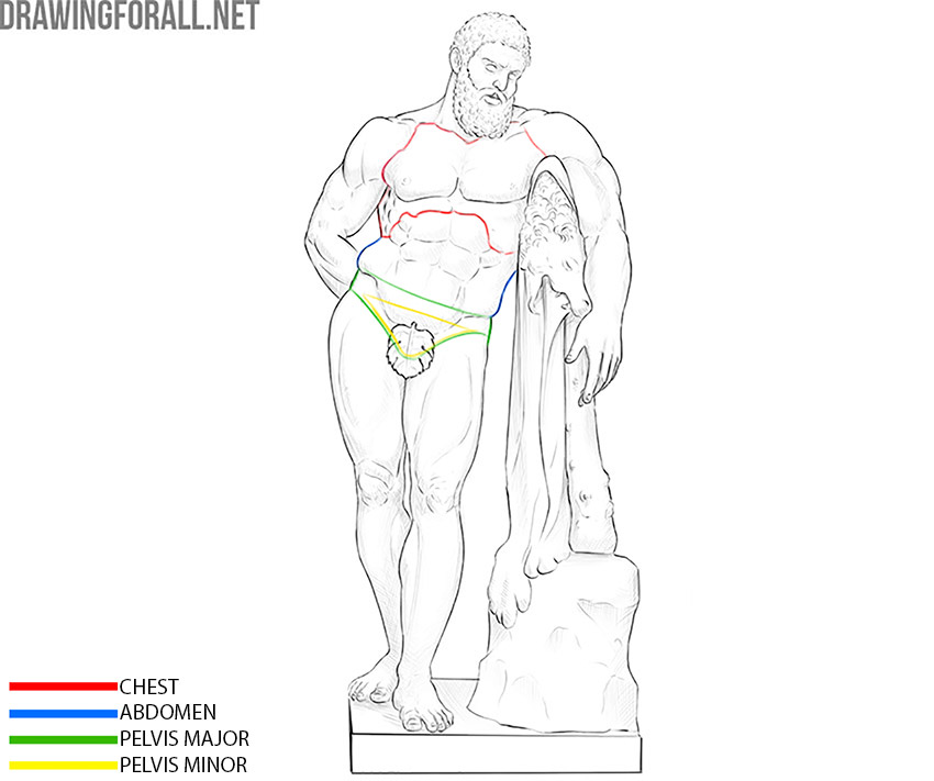 Human torso showing the thoracic, abdominal, and pelvic cavities.