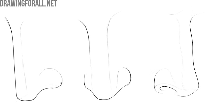 Three nose drawings showing variations in the bridge, tip, wings, and nostrils.