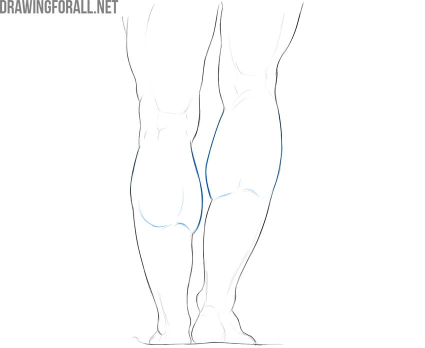 Back view of both lower legs showing the gastrocnemius muscles and calf contours.
