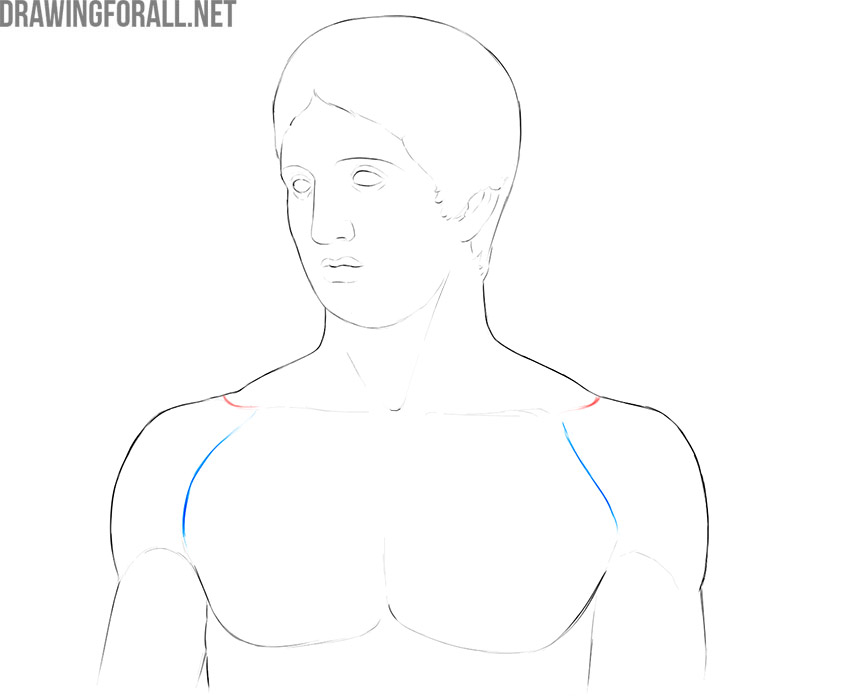 Front view of the upper torso showing the anatomical borders between the upper limbs, chest, and neck.