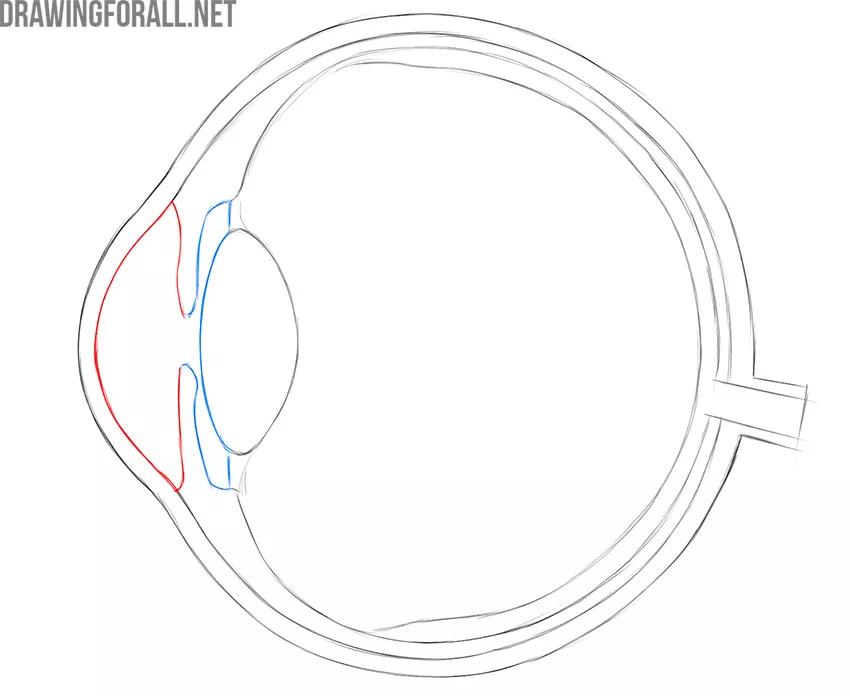 Human eye structure scheme medical vector illustration. Educational  material Stock Vector | Adobe Stock