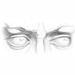 Anatomy of the Eye