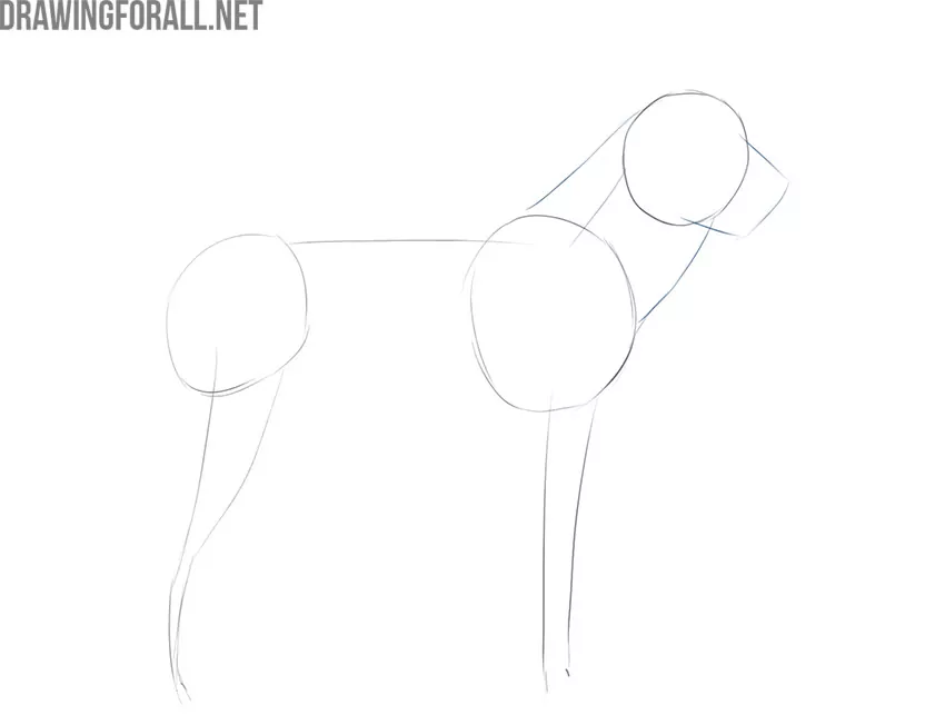 dog drawing tutorial