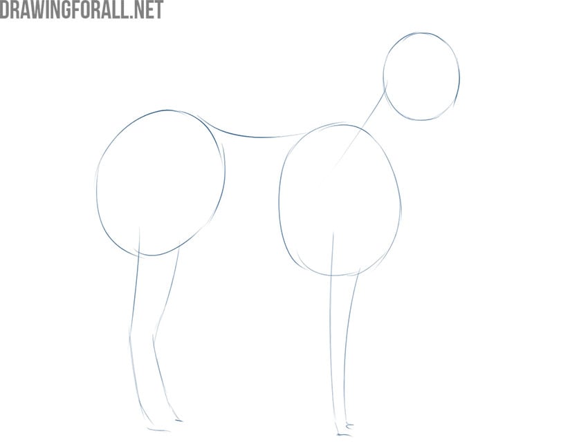 how to draw a zebra easy step by step