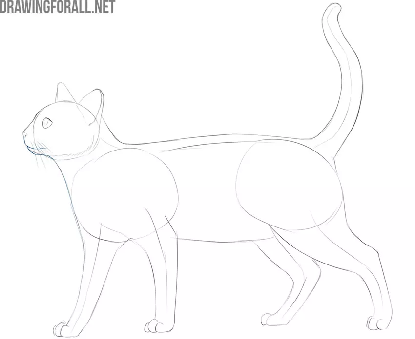 Easy Cat Face Drawing 🐈 | Cat face drawing, Cat drawing for kid, Easy  drawings