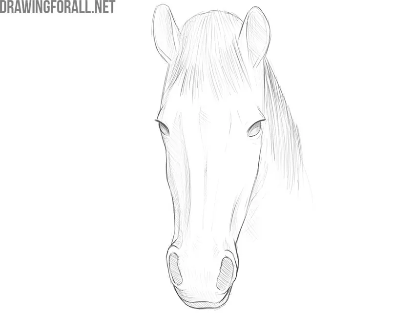 how to draw a horse face