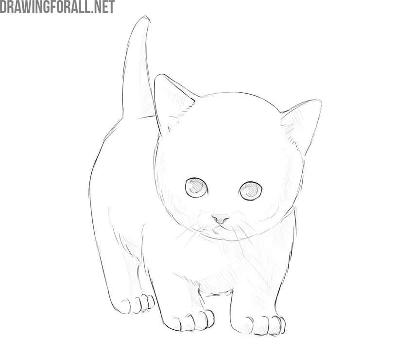 Simple Cat Drawing - YouTube