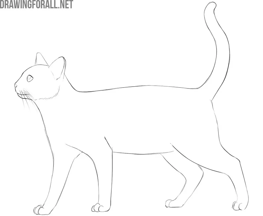 how to draw a cat easyhow to draw a cat easy