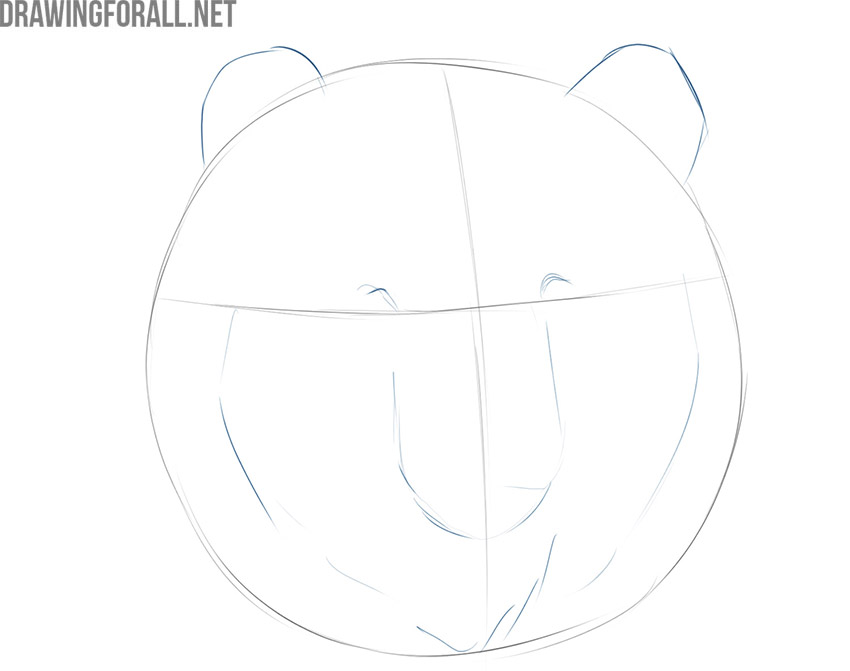 easy way to draw a bear face