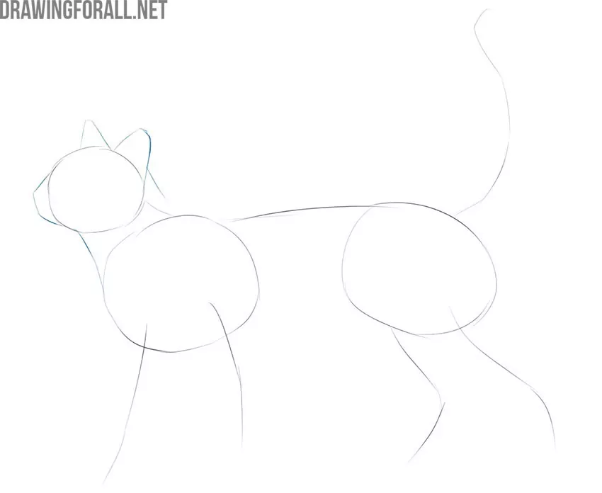 how to draw a detailed cat easy