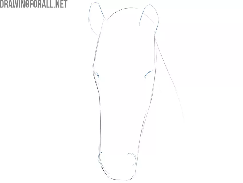 how to draw a face of a horse