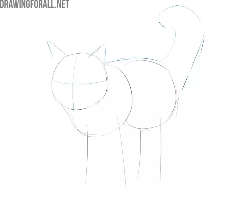 how to draw a realistic maine coon cat easy