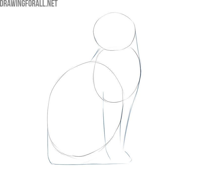 how to draw a simple cat sitting