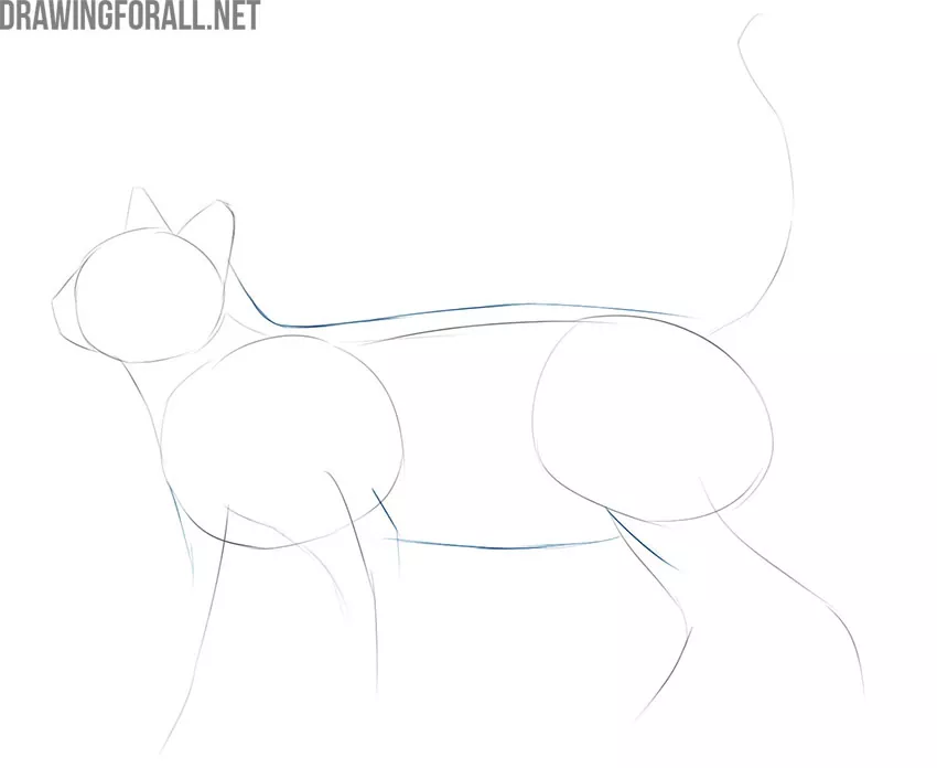 how to draw a cat easy step by step
