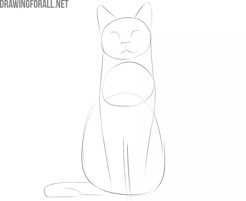 how to draw a cat sitting front view