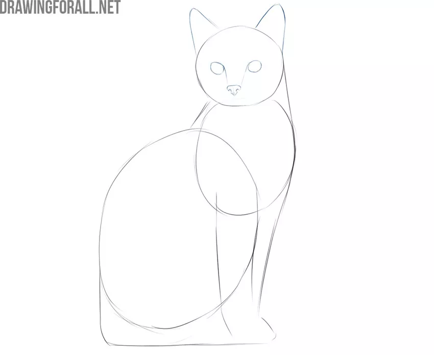 how to draw a simple cat face