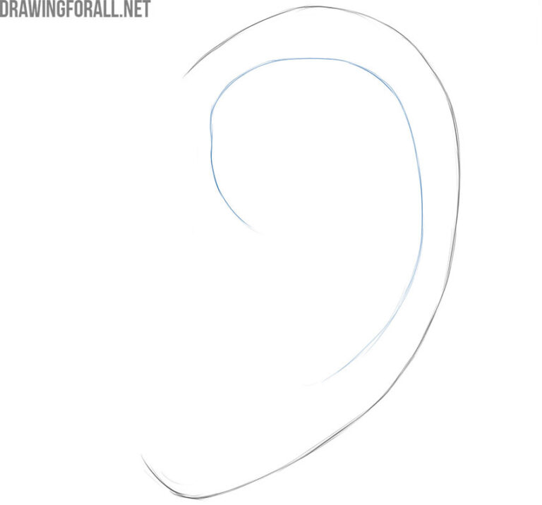 How to Draw an Ear - Drawingforall.net