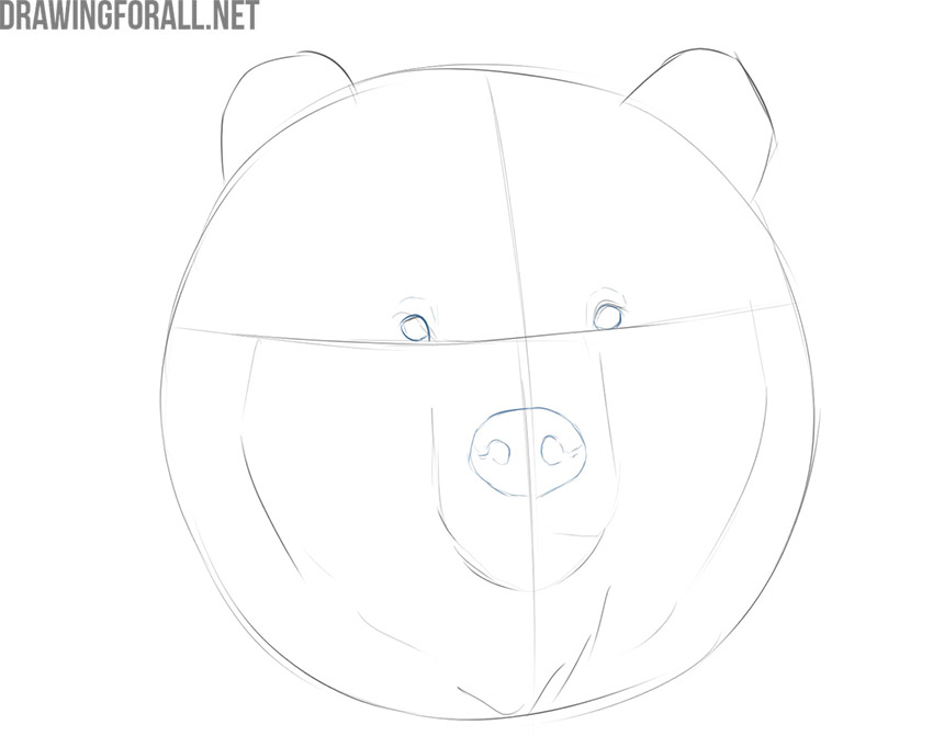 how to draw an easy bear face
