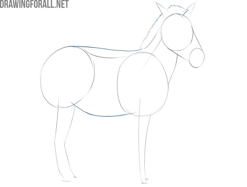 how to draw an easy zebra