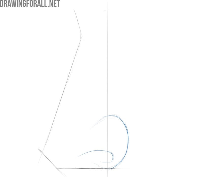 nose drawing tutorial
