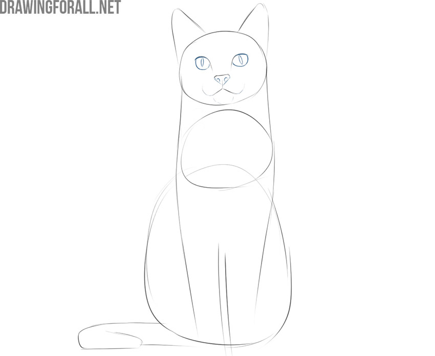 how to draw a cat sitting down step by step