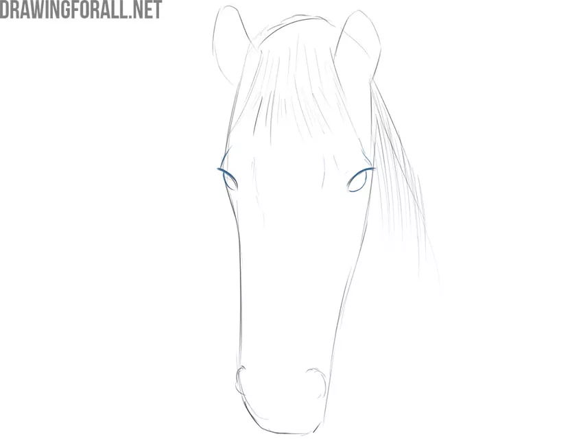 how to draw a horse face easy