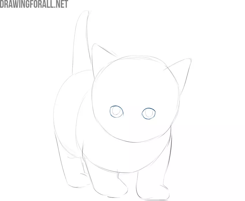 how to draw a kitty cat face