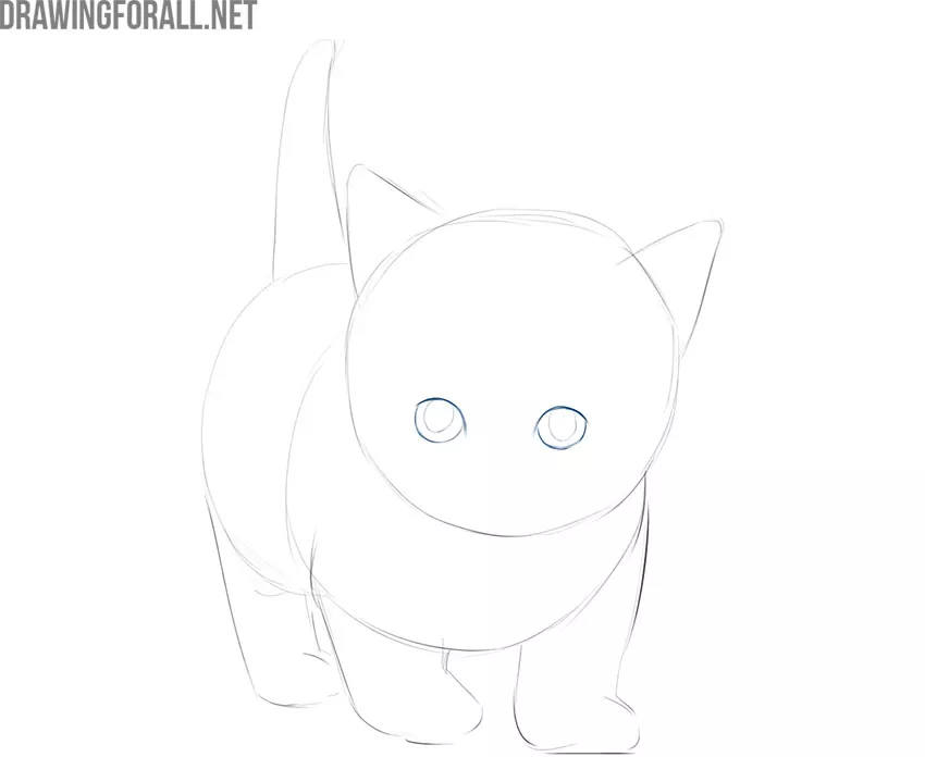 How to Draw a Kitty Cat How to Draw a Kitty Cat