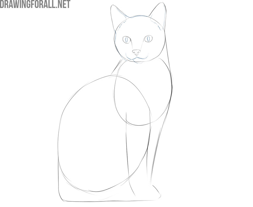 how to draw a simple cat step by step