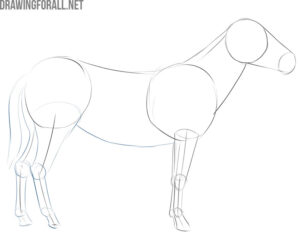 how to draw a zebra easy step by step | Drawingforall.net