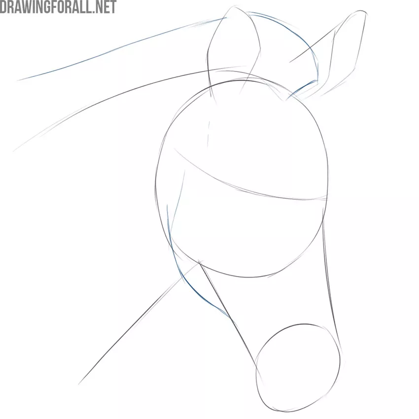 how to draw a zebra head