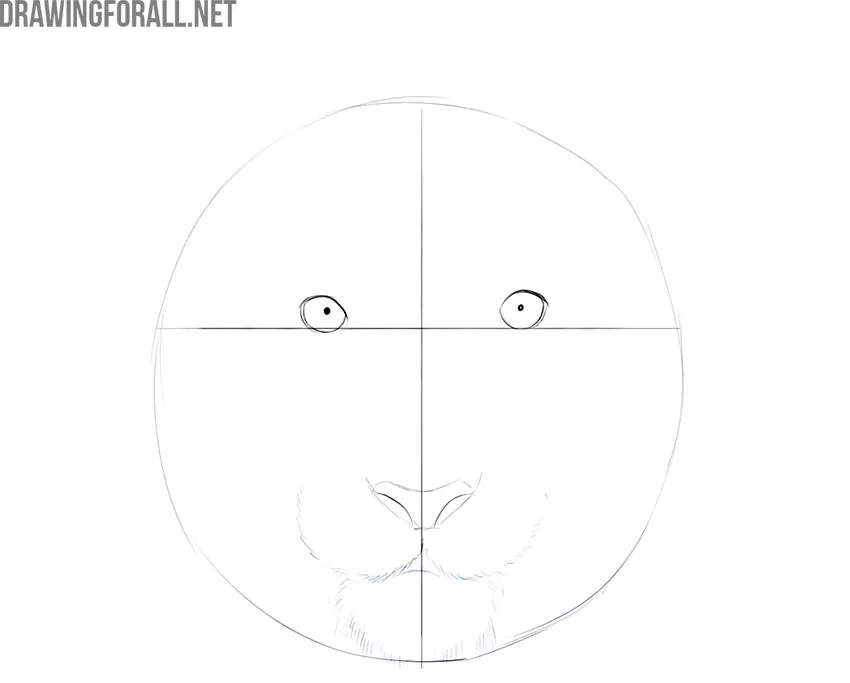 how to draw an easy tiger face step by step