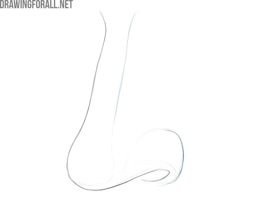 nose drawing tutorial