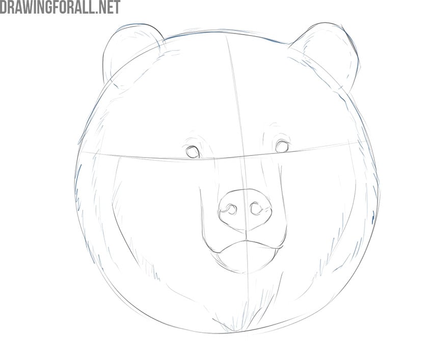 how to draw a bear face step by step easy