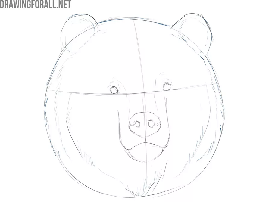 how to draw a bear face step by step easy