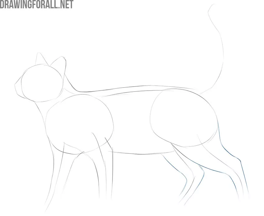 Cat Hand Drawn Sketch Icon Stock Illustration - Download Image Now -  Domestic Cat, Side View, Shorthair Cat - iStock