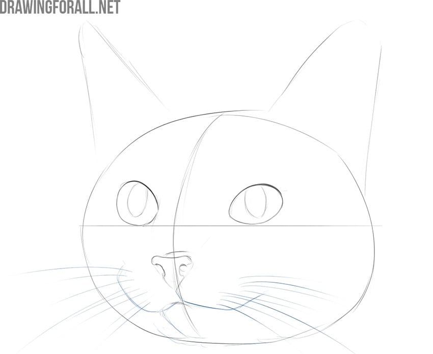 how to draw a cute cat face easy