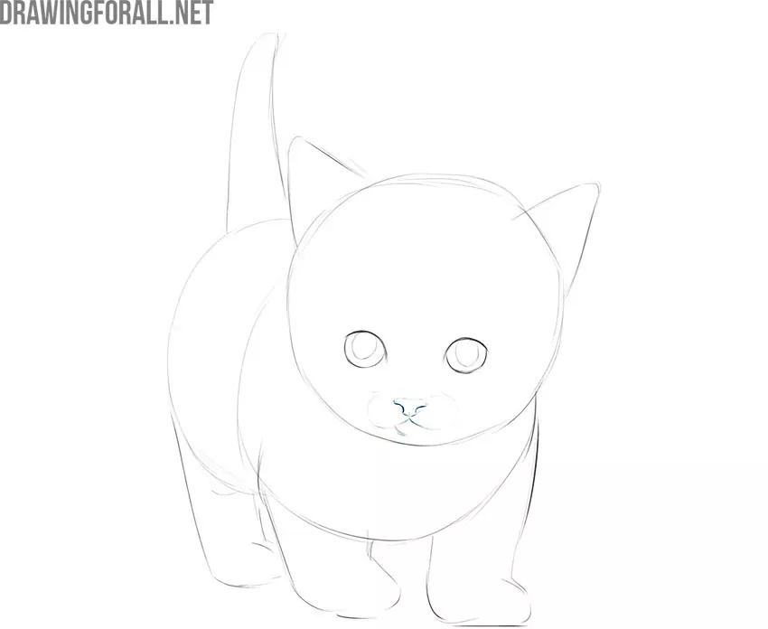 how to draw a cute kitty cat step by step
